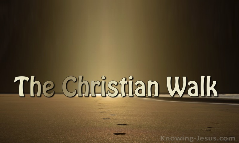 The Christian Walk (devotional)06-22 (brown)